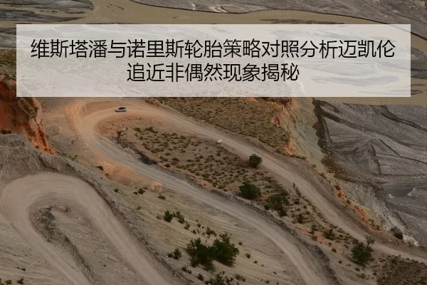 维斯塔潘与诺里斯轮胎策略对照分析迈凯伦追近非偶然现象揭秘