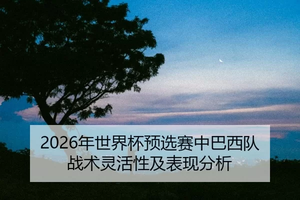 nian-shi-jie-bei-yu-xuan-sai-zhong-ba-xi-dui-zhan-shu-ling-huo-xing-ji-biao-xian-fen-xi-2-890.jpg