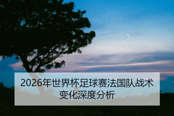 nian-shi-jie-bei-zu-qiu-sai-fa-guo-dui-zhan-shu-bian-hua-shen-du-fen-xi-2-890.jpg