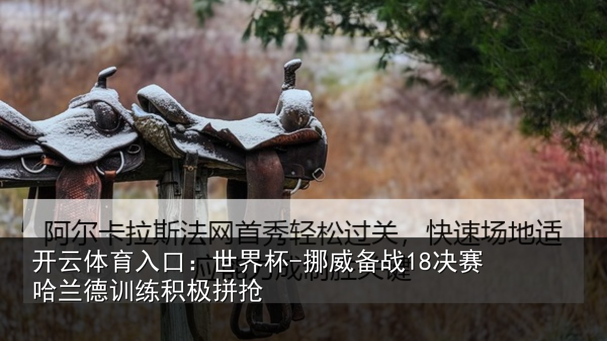 开云体育入口：世界杯-挪威备战18决赛哈相关情况