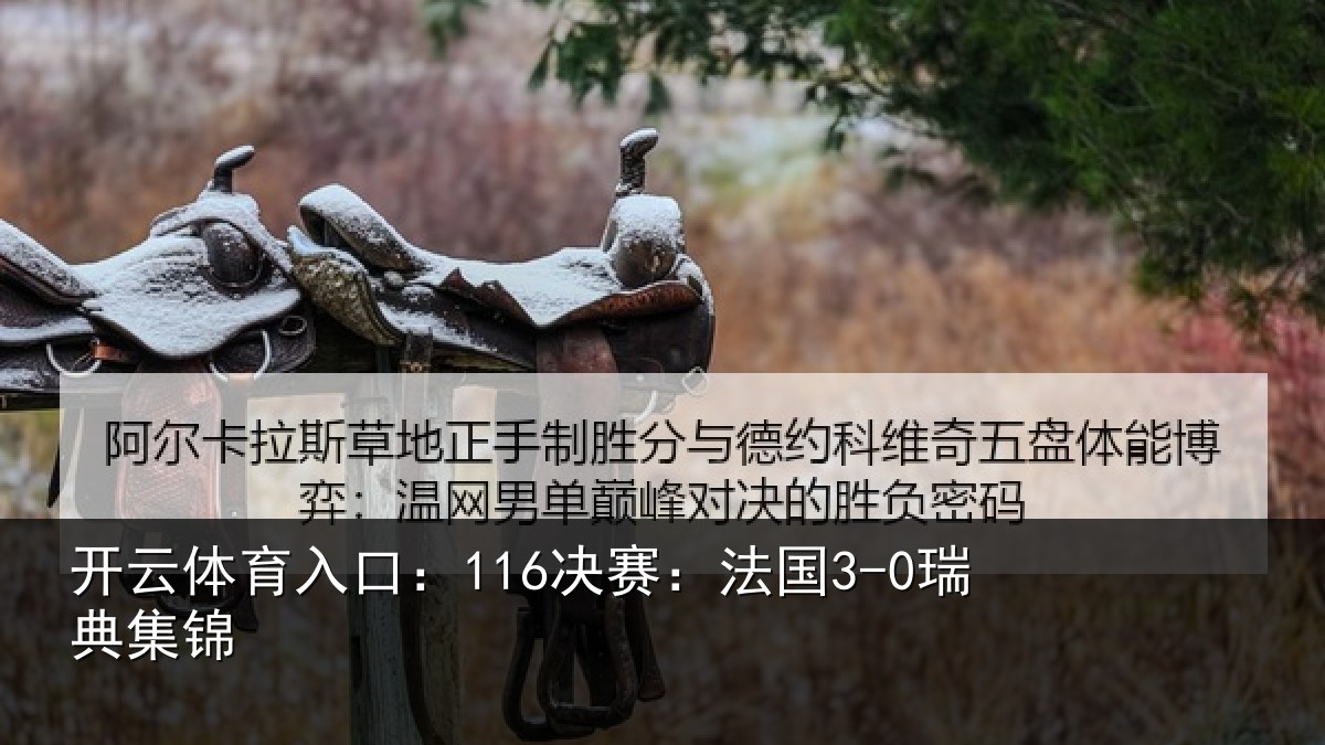 开云体育入口：116决赛：法国3-0瑞典集锦
