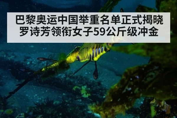 巴黎奥运中国举重名单正式揭晓 罗诗芳领衔女子59公斤级冲金